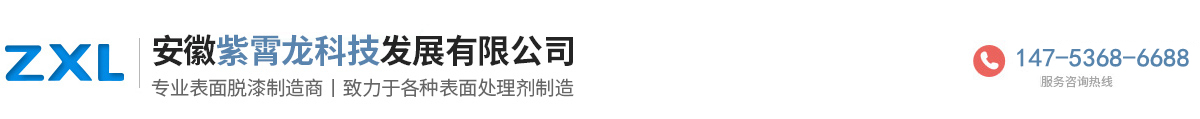 安徽紫霄龍科技發展有限公司